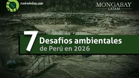 Foto: Mongabay Latam