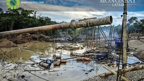 La Pampa: Así funciona el sistema de extorsiones, amenazas y asesinatos que devasta los bosques