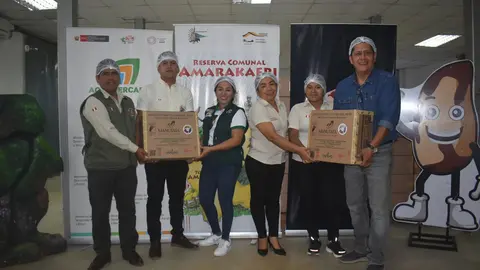 Amarakaeri alcanzó en 2025 avances históricos en la producción de castaña