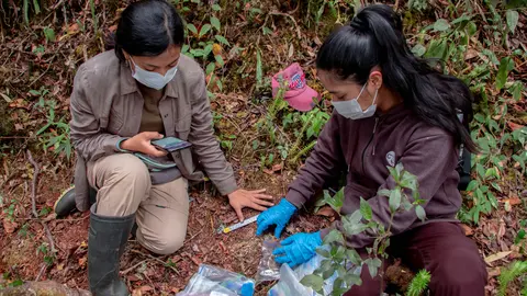 Perú es clave para la resiliencia climática de la Amazonía