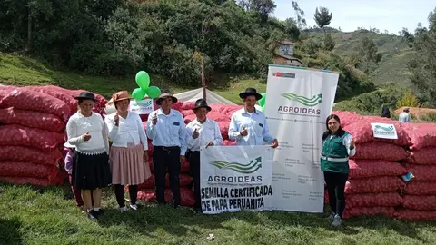 MIDAGRI: con inversión de más de S/ 446 mil se impulsa producción de papa peruanita en Huancavelica