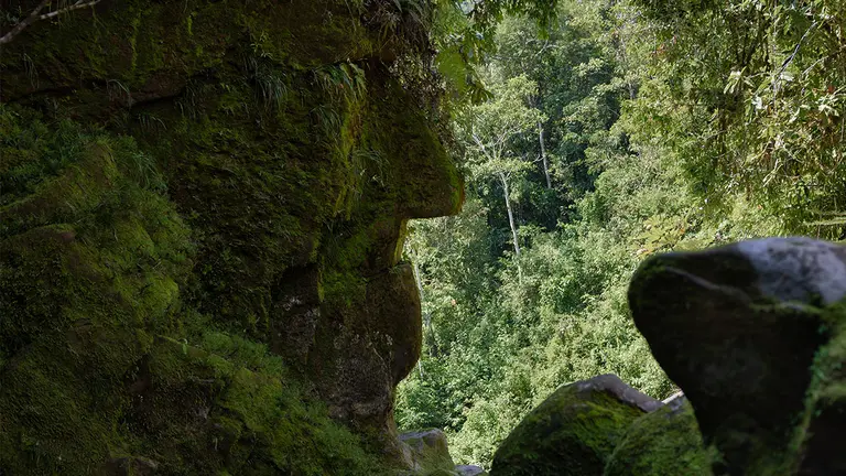 Rostro-Harakbut-Diego-Perez-SPDA