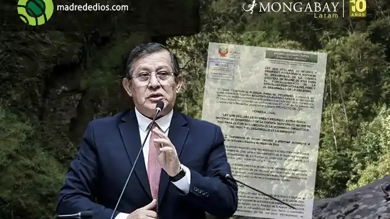 Image: composici&oacute;n Mongabay/Radio Madre de Dios