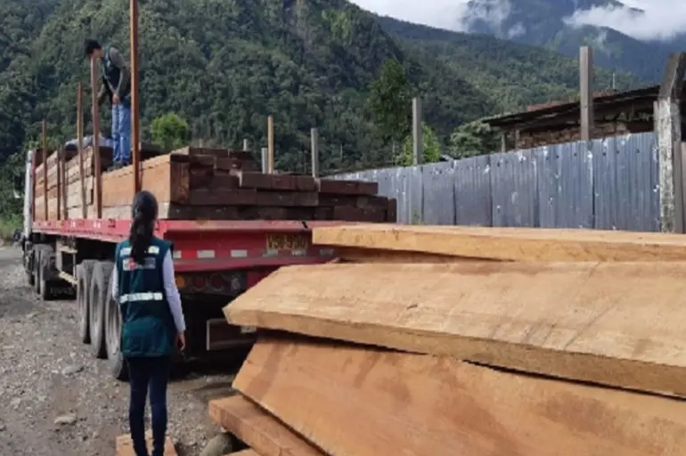 Serfor decomisa más de 12 mil pies tablares de madera provenientes de Madre de Dios en Puno Serfor decomisa más de 12 mil pies tablares de madera provenientes de Madre de Dios en Puno