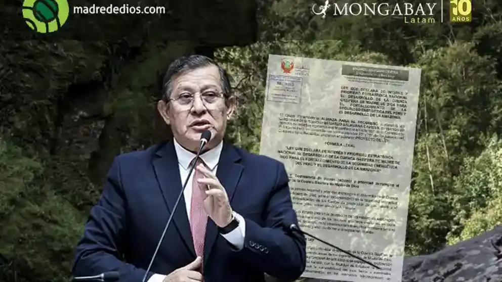 Image: composici&oacute;n Mongabay/Radio Madre de Dios