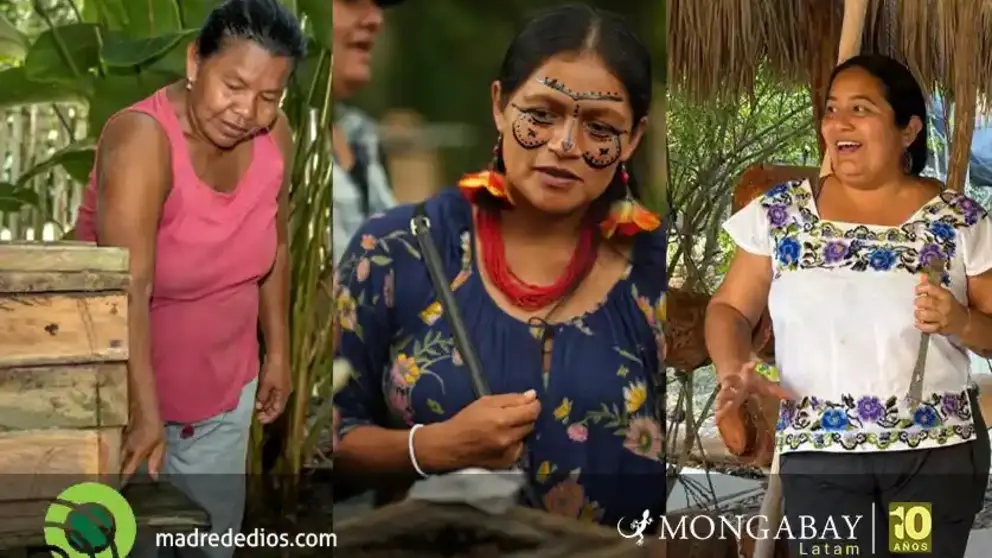 Foto: Mongabay / Radio Madre de Dios