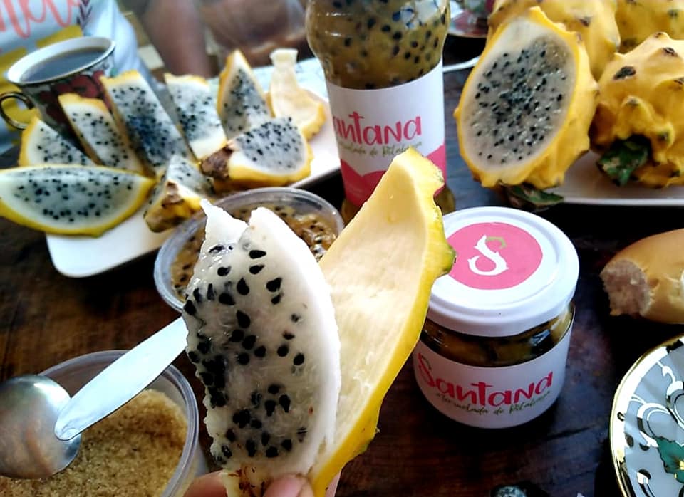 118690096_3347711325349565_5689130287308561578_n