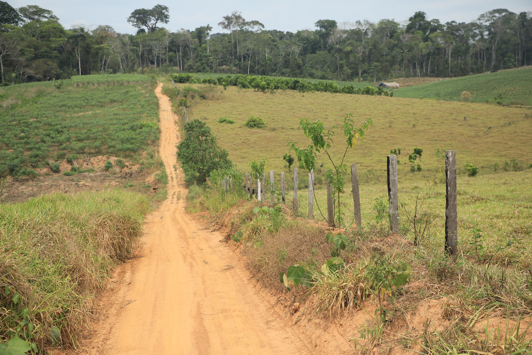 119212050_779149679321945_1651408320063441186_o