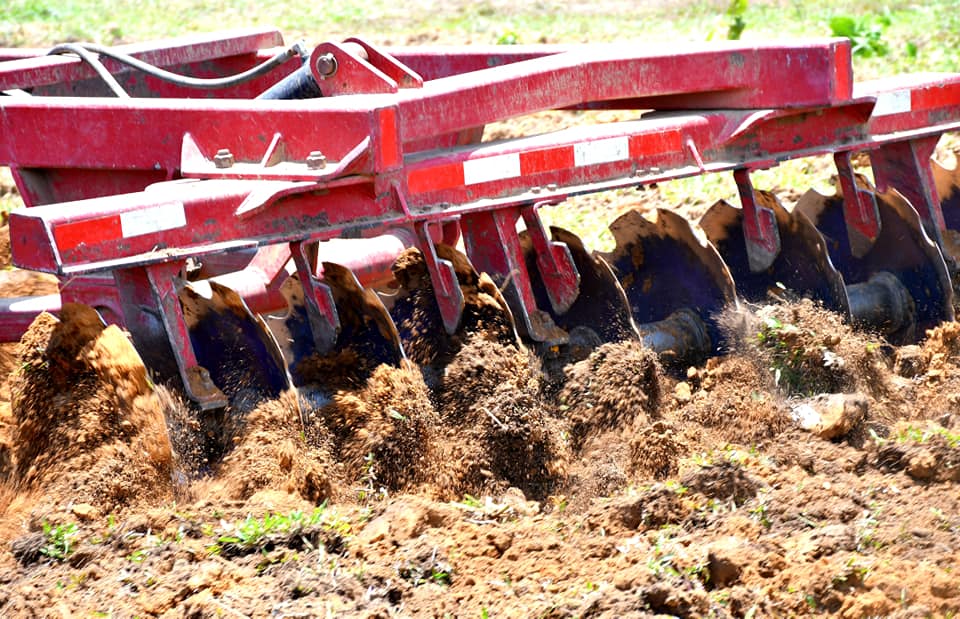 Foto: Agricultura Madre de Dios.