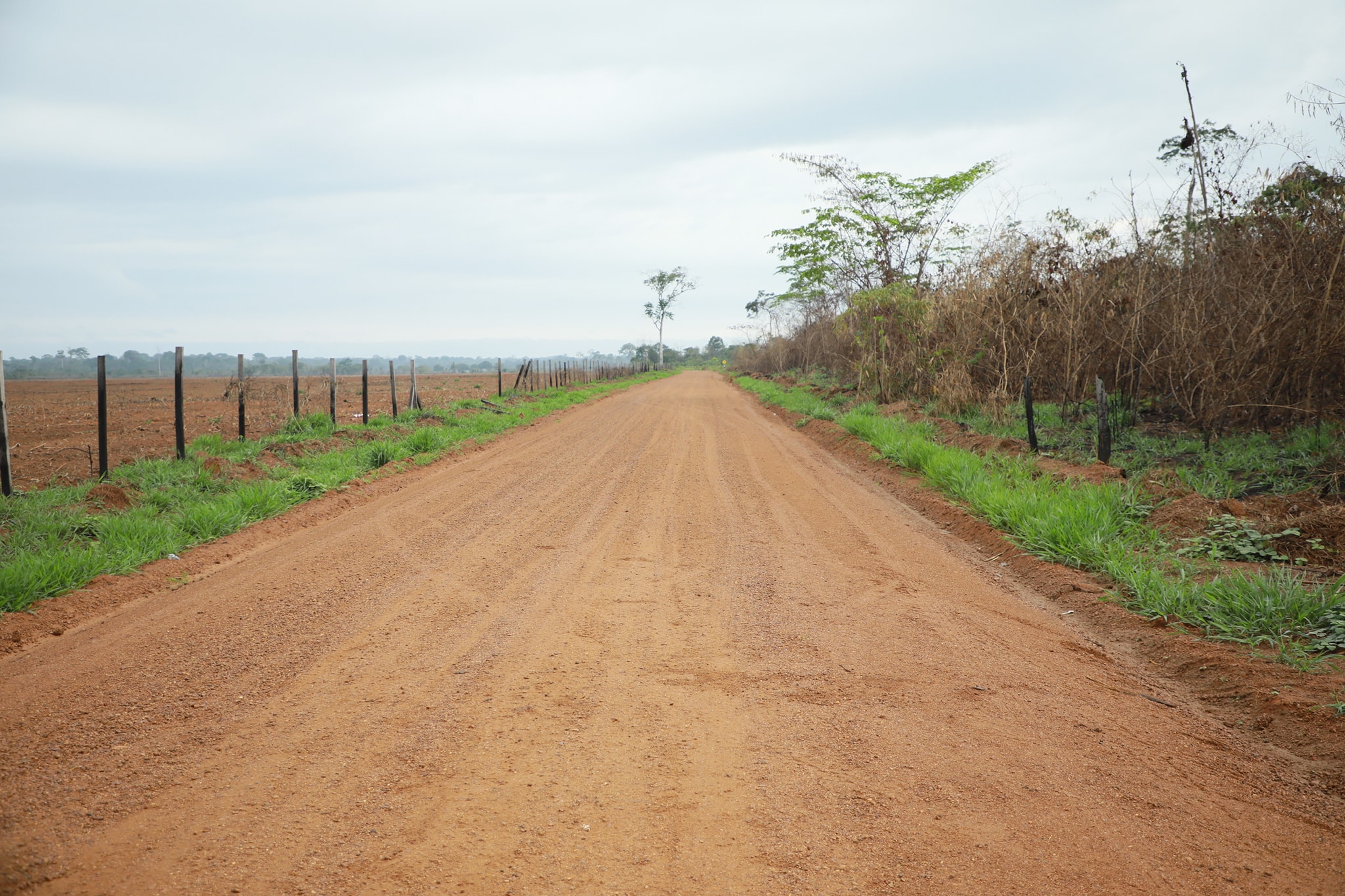 Foto: Municipalidad Provincial de Tambopata.