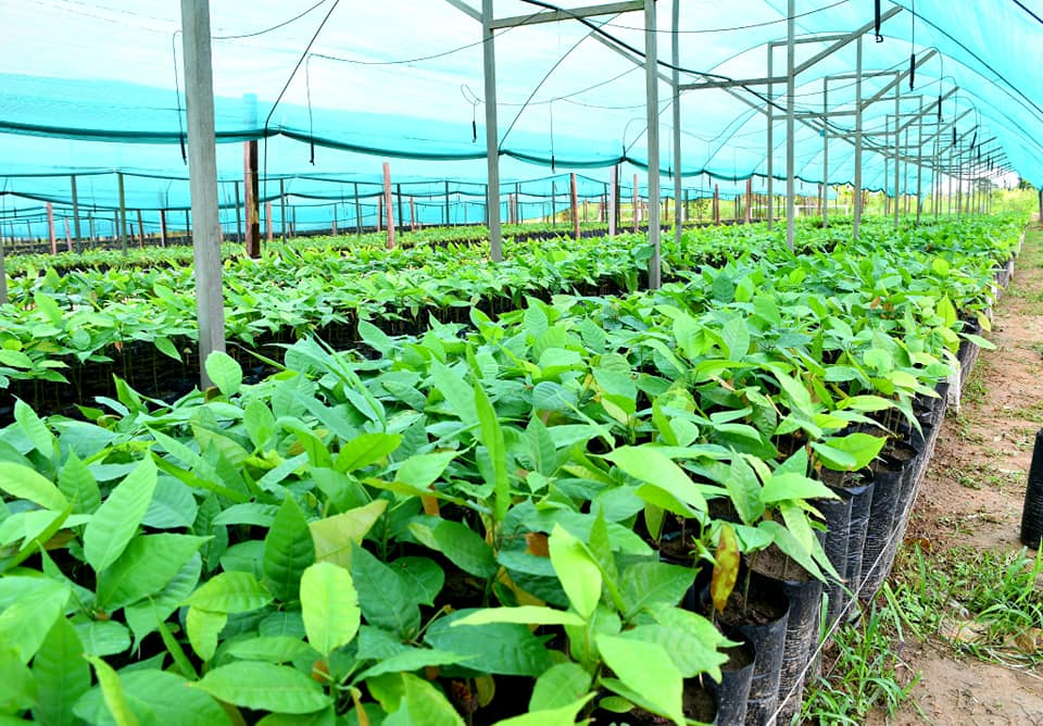 123203812_3518878241566205_7161447295994895137_n