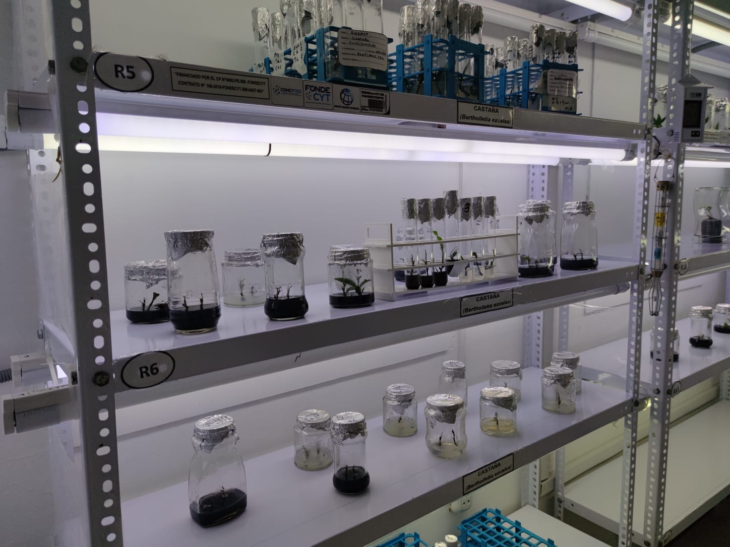 WhatsApp Image 2021-03-09 at 6.45.33 PM