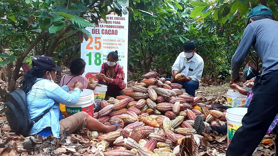 190599860_136933571822254_3213229206559161085_n